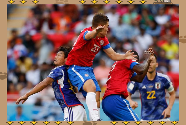 APP下载专区包含加时末段体能课后，摩纳哥完成体检备战国王杯，信心回归，球队文化再被提及的词条